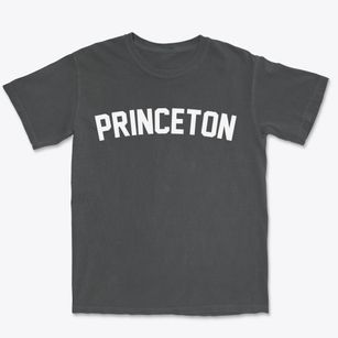 Princeton North Carolina Classic Curve Premium Heavyweight T-shirt