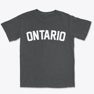 Ontario New York Classic Curve Premium Heavyweight T-shirt