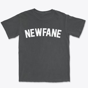 Newfane New York Classic Curve Premium Heavyweight T-shirt