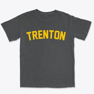 Trenton Missouri Classic Curve Premium Heavyweight T-shirt