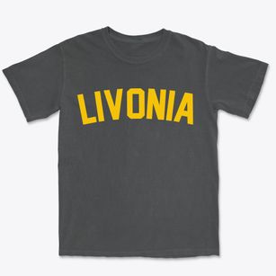 Livonia Michigan Classic Curve Premium Heavyweight T-shirt