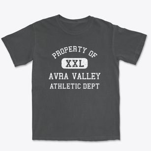 Avra Valley Arizona Athletic Dept Premium Heavyweight T-shirt