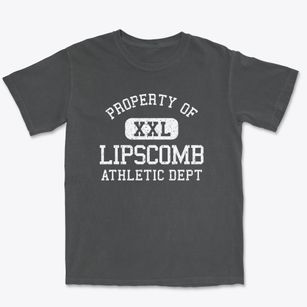 Lipscomb Alabama Athletic Dept Premium Heavyweight T-shirt
