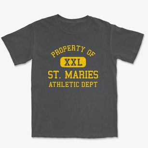 St. Maries Idaho Athletic Dept Premium Heavyweight T-shirt