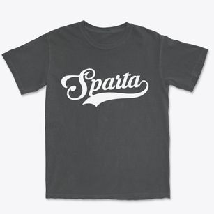 Sparta Michigan Vintage Team Premium Heavyweight T-shirt