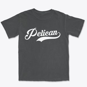 Pelican Wisconsin Vintage Team Premium Heavyweight T-shirt