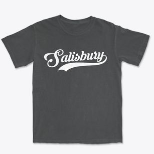 Salisbury North Carolina Vintage Team Premium Heavyweight T-shirt
