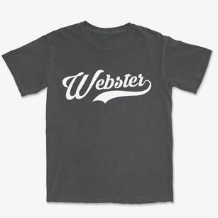 Webster New Hampshire Vintage Team Premium Heavyweight T-shirt