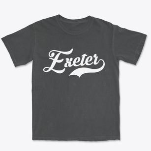 Exeter New Hampshire Vintage Team Premium Heavyweight T-shirt
