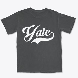Yale South Dakota Vintage Team Premium Heavyweight T-shirt
