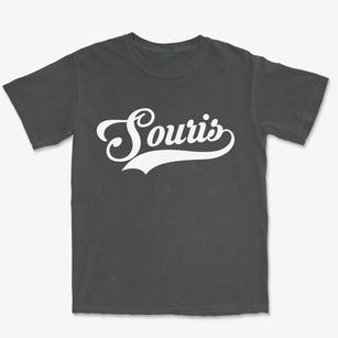 Souris North Dakota Vintage Team Premium Heavyweight T-shirt