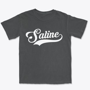 Saline Michigan Vintage Team Premium Heavyweight T-shirt