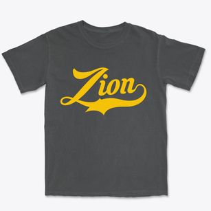 Zion Pennsylvania Vintage Team Premium Heavyweight T-shirt