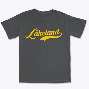 Lakeland Wisconsin Vintage Team Premium Heavyweight T-shirt