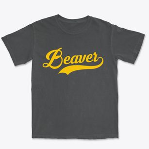 Beaver West Virginia Vintage Team Premium Heavyweight T-shirt