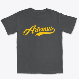 Artemus Kentucky Vintage Team Premium Heavyweight T-shirt