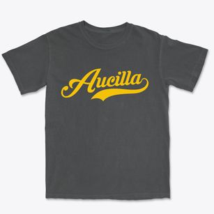 Aucilla Florida Vintage Team Premium Heavyweight T-shirt