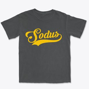 Sodus New York Vintage Team Premium Heavyweight T-shirt