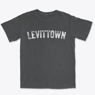 Levittown Pennsylvania Timeless Retro Premium Heavyweight T-shirt