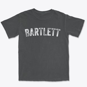 Bartlett New Hampshire Timeless Retro Premium Heavyweight T-shirt