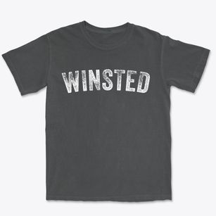 Winsted Minnesota Timeless Retro Premium Heavyweight T-shirt