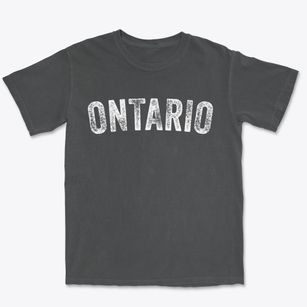 Ontario California Timeless Retro Premium Heavyweight T-shirt