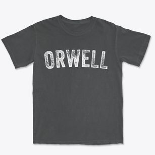 Orwell Ohio Timeless Retro Premium Heavyweight T-shirt