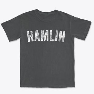 Hamlin West Virginia Timeless Retro Premium Heavyweight T-shirt