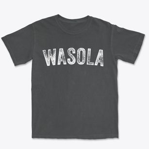 Wasola Missouri Timeless Retro Premium Heavyweight T-shirt