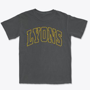 Lyons New York Trendy Block Premium Heavyweight T-shirt