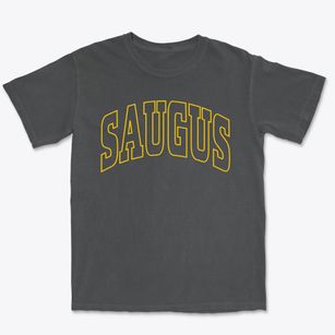 Saugus Massachusetts Trendy Block Premium Heavyweight T-shirt