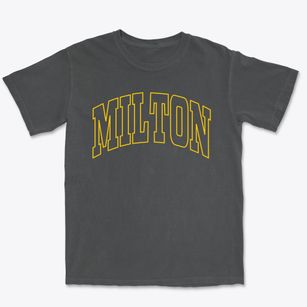 Milton New York Trendy Block Premium Heavyweight T-shirt