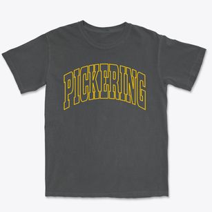 Pickering Missouri Trendy Block Premium Heavyweight T-shirt
