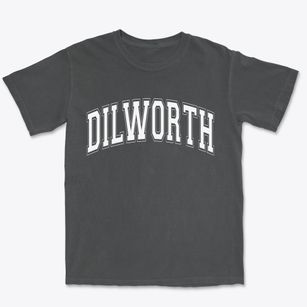Dilworth Minnesota Varsity Premium Heavyweight T-shirt
