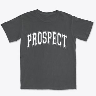 Prospect North Carolina Varsity Premium Heavyweight T-shirt