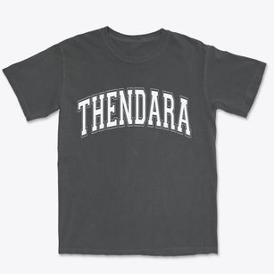 Thendara New York Varsity Premium Heavyweight T-shirt