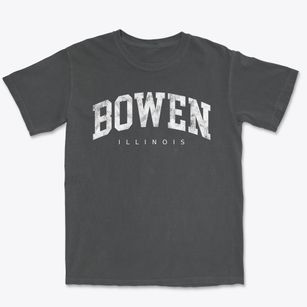 Bowen Illinois Urban Vibe Premium Heavyweight T-shirt