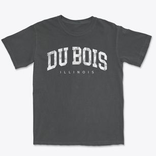 Du Bois Illinois Urban Vibe Premium Heavyweight T-shirt
