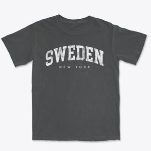 Sweden New York Urban Vibe Premium Heavyweight T-shirt