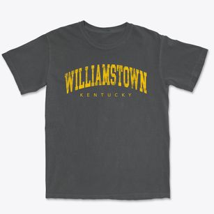 Williamstown Kentucky Urban Vibe Premium Heavyweight T-shirt