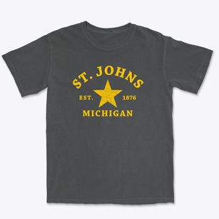 St. Johns Michigan Star Premium Heavyweight T-shirt