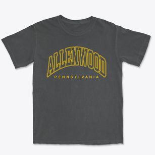 Allenwood Pennsylvania Inline Premium Heavyweight T-shirt