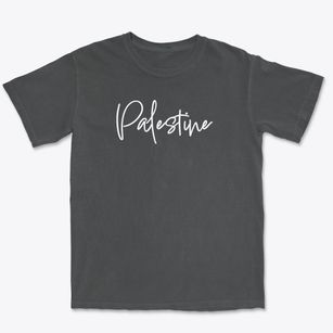 Palestine Tennessee Freestyle Premium Heavyweight T-shirt