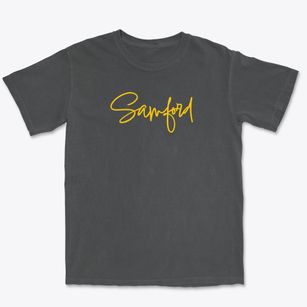 Samford Missouri Freestyle Premium Heavyweight T-shirt