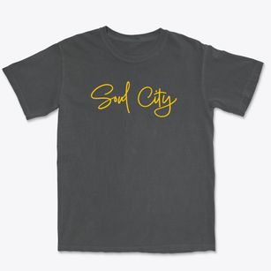 Soul City North Carolina Freestyle Premium Heavyweight T-shirt