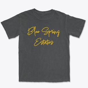 Blue Spring Estates Kentucky Freestyle Premium Heavyweight T-shirt