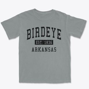 Birdeye Arkansas Classic Established Premium Heavyweight T-shirt