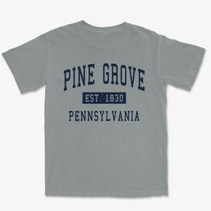 Pine Grove Pennsylvania Classic Established Premium Heavyweight T-shirt