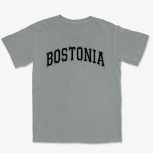 Bostonia Christian Elementary School Varsity Arch Premium Heavyweight T-shirt