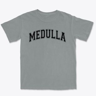 Medulla Elementary School Varsity Arch Premium Heavyweight T-shirt